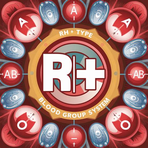 Blood Group Definition Systems Types Significances