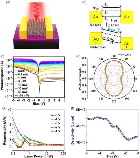 A Schematic Diagram Of Multilayer γ‐inse Polarized Photodetector B