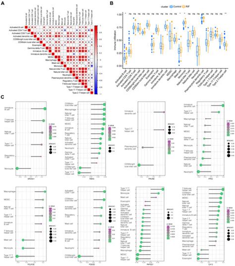 Ijms Free Full Text Recurrent Implantation Failure Bioinformatic