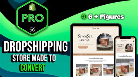 Build A Passive Income Dropshipping Shopify Store Or Shopify Website By