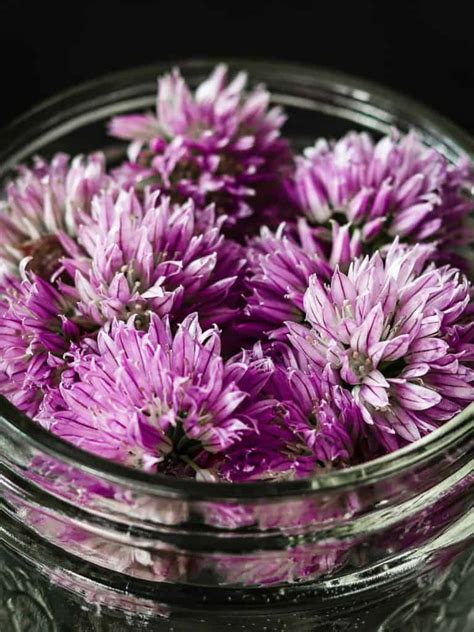 Easy Chive Blossom Vinegar Recipe Urban Farm And Kitchen