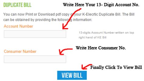 A Guide On How To Get K Electric Duplicate Bill Online LESCO