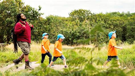 Cbeebies Lets Go For A Walk Series 2 Dinosaur And Burnt Forest Walk