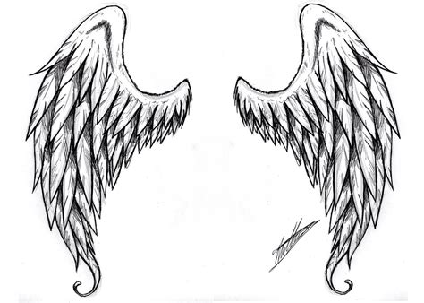 Tatuagem De Asas De Anjo Mais Angel Wings Tattoo On Back Wing Tattoos