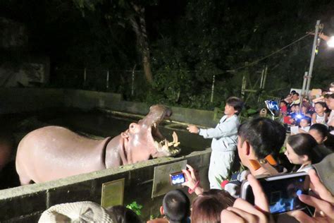 親子で楽しもう♪見所満載！沖縄こどもの国zooandmuseum｜okinawaholidayhackers