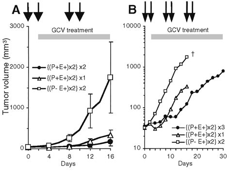 Effect Of Egt Repetition At An Interval A The Treatment Groups With