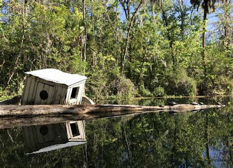 Silver Springs State Park: 7 reasons to visit famous spring