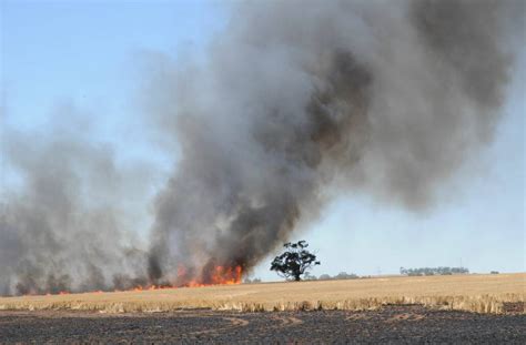 Person Of Interest Identified In Barossa Valley Fires SA