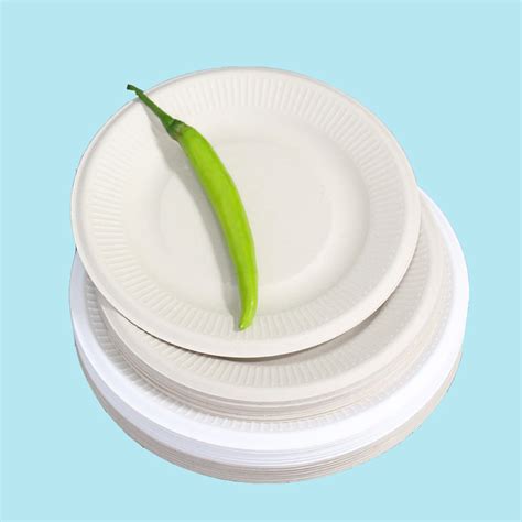 Watsonpak Eco Friendly Tableare Factory Sugarcane Bamboo Fiebr Bagasse