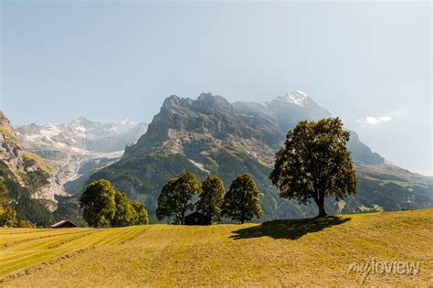 Grindelwald Eiger Eigernordwand Alpen Berner Oberland Unterer