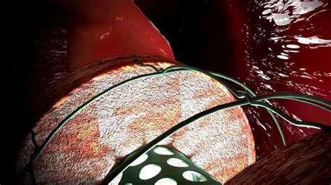 Watch Giantess Elf Vore Giantess Giantess Vore Pov Porn SpankBang