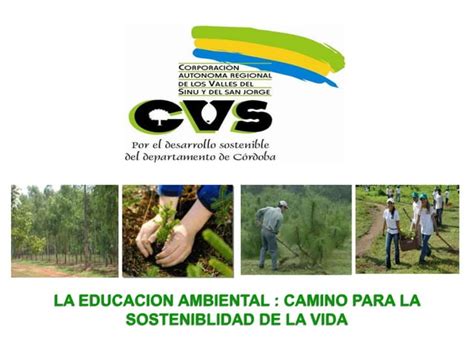 Diapositivas Reforestacion Agricultura Medio Ambiente Ppt