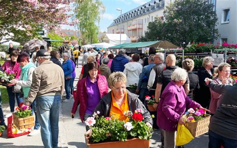 Rückblick auf das Straßenfest 2023 WBG Schneeberg