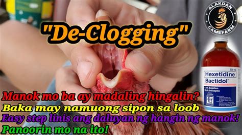 Ep 7 Paano Palabasin Ang Sipon Ng Manok Ll De Clogging Ll Proven