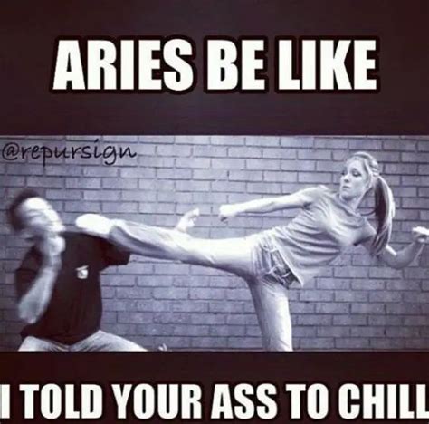 50 Side Splitting Aries Memes That Every Arian Will Relate To Aries