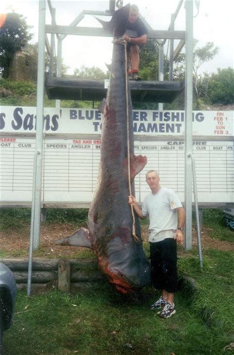 Biggest Fish Ever Caught Meet The Giants