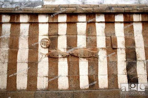 Carved figures of fish on the courtyard wall of Gomateshwara temple ...