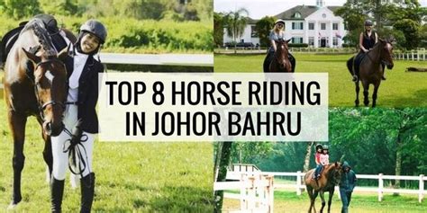 Top 8 Horse Riding In Johor 8 Destinations