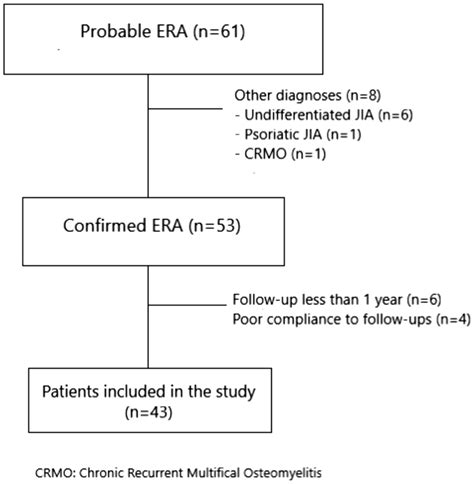 Flow Chart Of Patients Inclusion Download Scientific Diagram