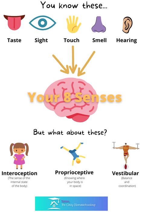 Sensory Processing Disorder Its Only Homeschooling