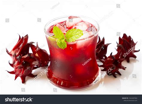 Roselle Ice 2029 รายการ ภาพ ภาพสต็อกและเวกเตอร์ Shutterstock