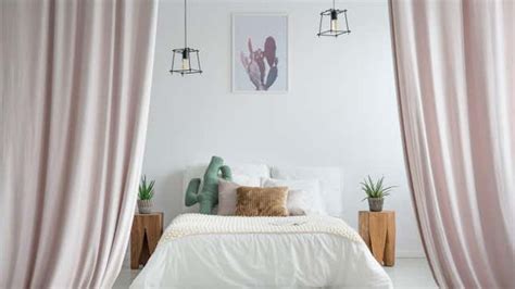 The Best Plants To Put In Your Bedroom