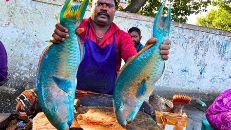 KASIMEDU SPEED SELVAM RARE PARROT FISH CUTTING VIDEO CUTTING FOCUS