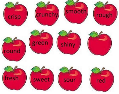 Apple Words Apple Word Apple Theme Adjectives