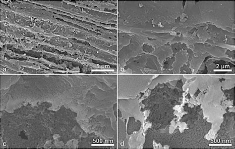 Typical Field Emission Scanning Electron Micrographs Of The Activated