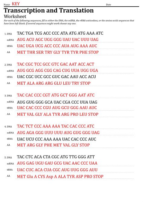 Dna Transcription Cheat Sheet