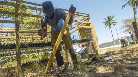 Climate Resilience From Mountaintop to Seafloor: How three communities