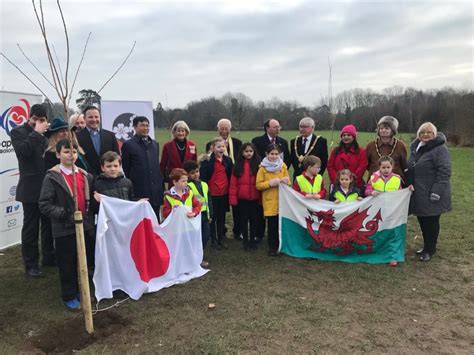 Heath Park Given Sakura Cherry Trees By Japan To Celebrate 150 Year