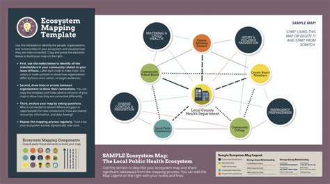 Ecosystem Mapping A Tool To Strengthen Systems And Impact Visible