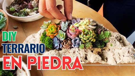 Siembra suculentas en PIEDRA HazLo Tú MisMo Materas DIY El Jardín de