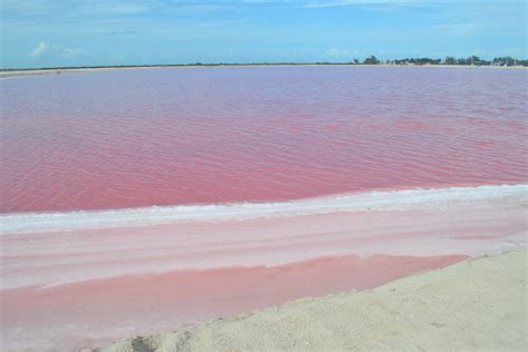 Step into Barbie's dreamland: 8 world's prettiest pink destinations to