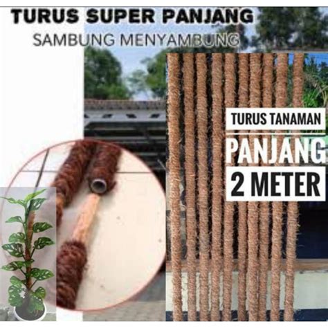 Jual Turus Sambung Super Panjang Pipa 200 Cm Untuk Tanaman Rambat