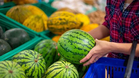 Fact Check False Claim That Image Shows Male And Female Watermelons