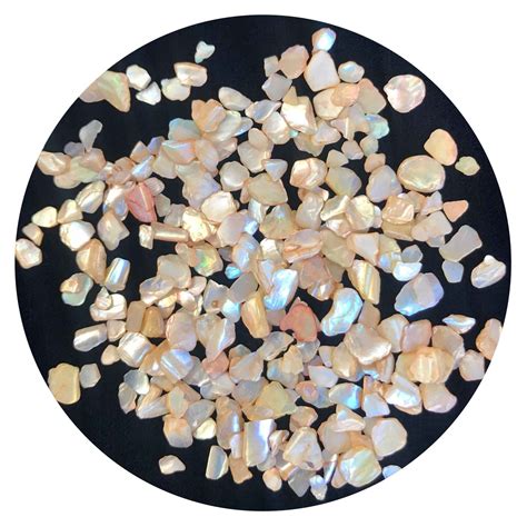 Coconut Beach Mini Shells — Colour Obsession