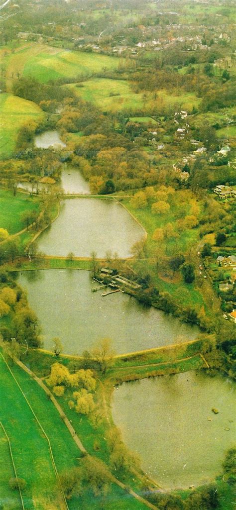 The Highgate Ponds - from http://poolzblog.blogspot.co.uk/ | Highgate ...