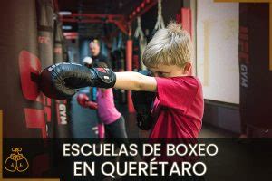 Las Mejores Escuelas de Boxeo Cerca de tu Ubicación