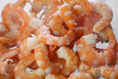 Cooked Shrimps Close Up Stock Image Image Of Farming 68330825