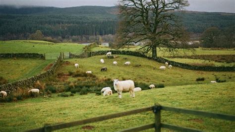 Best Wild Camping In Dumfries Galloway Forest Park Coast