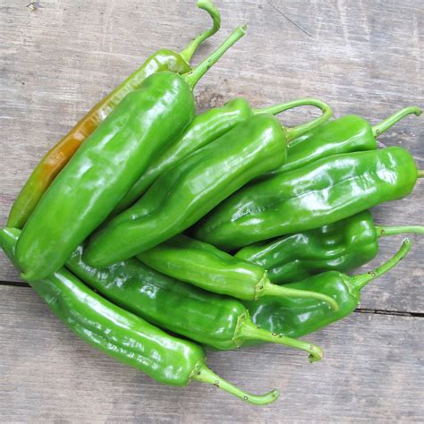 Anaheim Hot Pepper Organic Seeds – Hudson Valley Seed Company