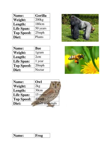 Animal Fact File Cards | Teaching Resources