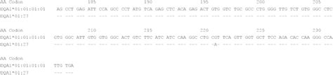 Alignment Of The Sequence Of Exon 4 Of HLADQA1 01 27 With The Sequence