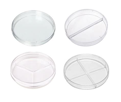 Laboratory Disposable Plastic Petri Dish Mm Mm Mm Mm Mm