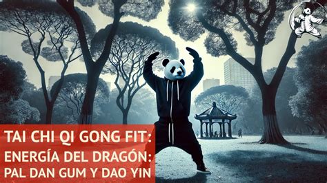 Tai Chi Qi Gong Fit Energ A Del Drag N Pal Dan Gum Y Dao Yin Youtube