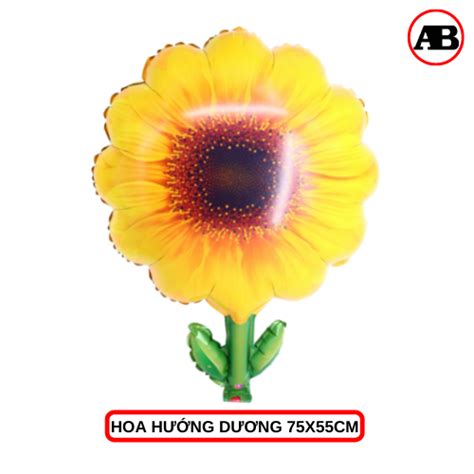 Bong bóng phao Khung Ảnh giá sỉ abshop.com.vn