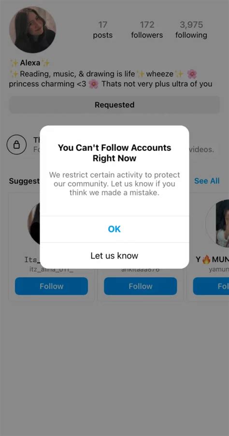 Can T Follow Anyone On Instagram Here S How To Fix It