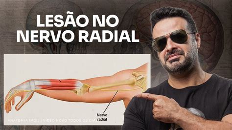 LESÃO NO NERVO RADIAL anatomiafacil YouTube